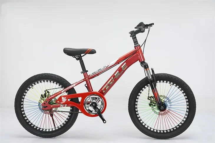 20 Inch Children's Bicycle
