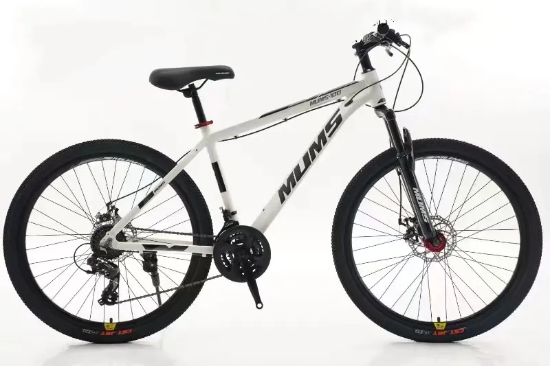Sou entènèt jwèt debutan Mountain Bike